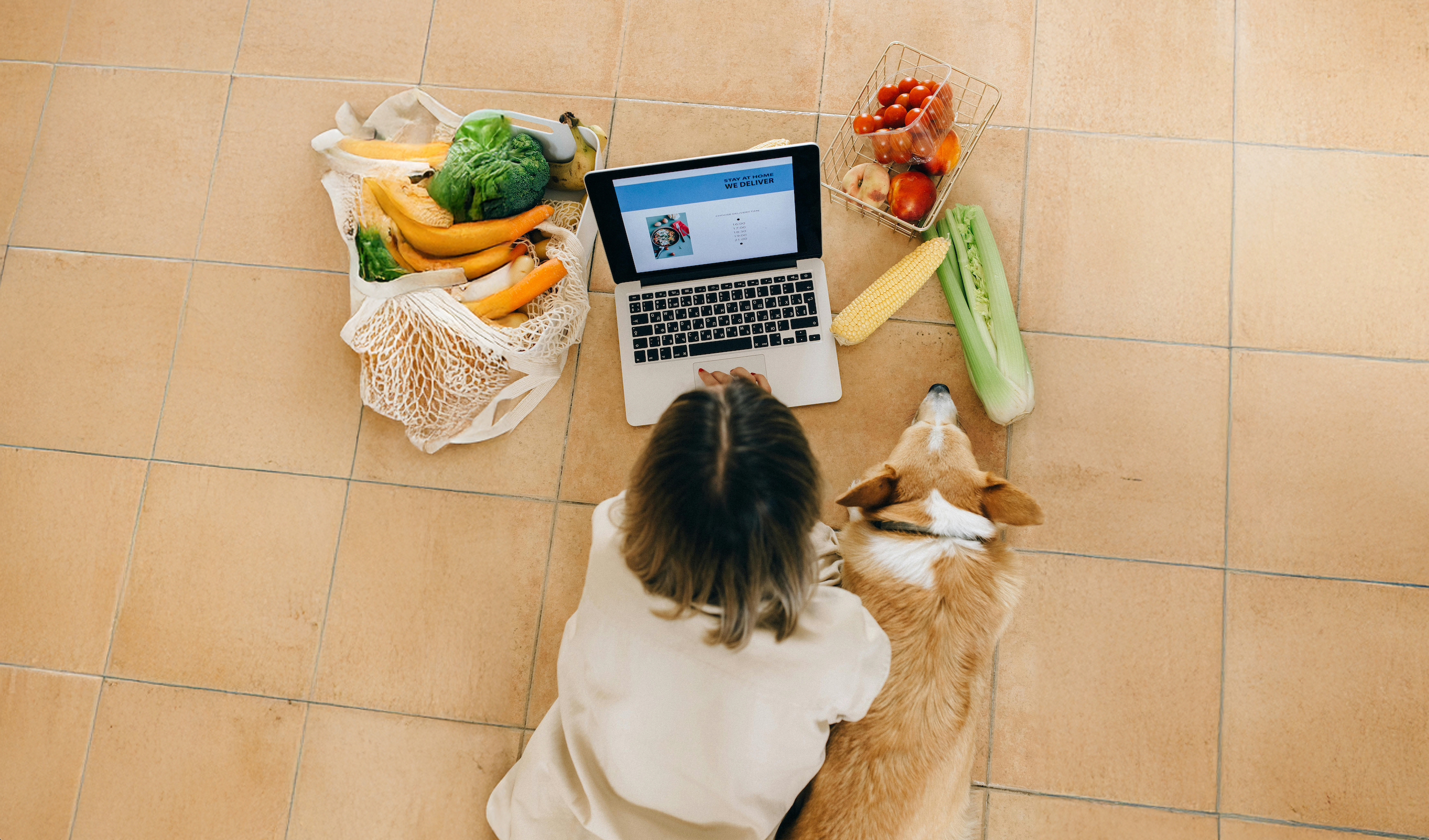 Gezonde hondensnacks: Weetjes, Do’s en Don’ts!