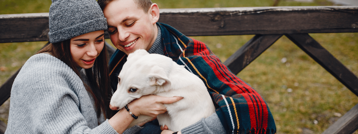 Vitamine B12 tekort bij honden voorkomen met gezonde snacks